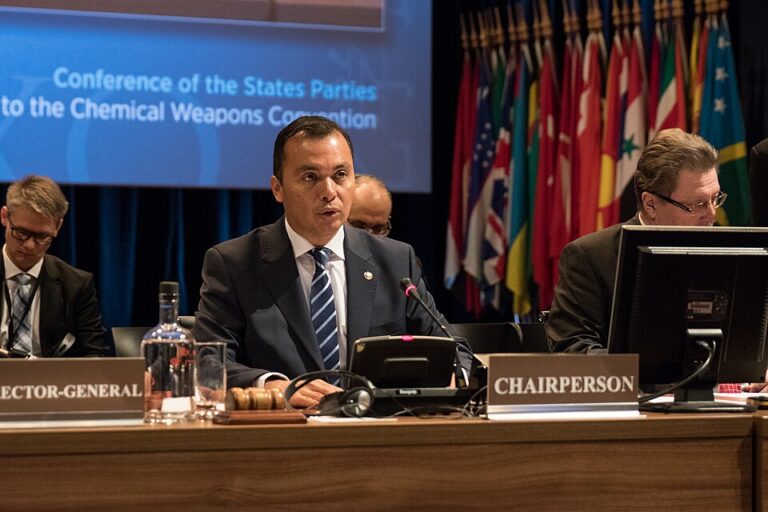 Chairperson presiding over an official session