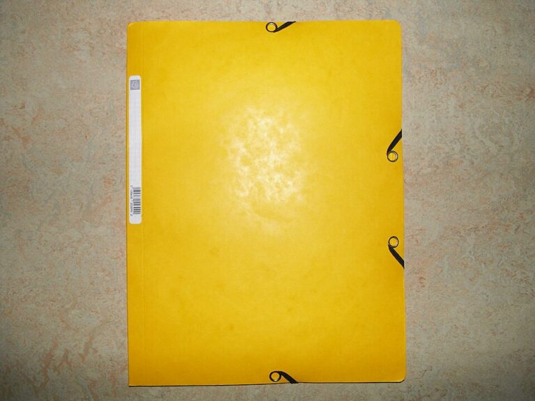 File folder records organization